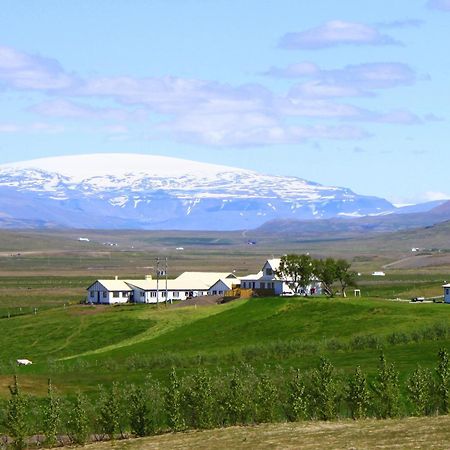 Guesthouse Steindorsstadir, West Iceland Рейкгольт Екстер'єр фото