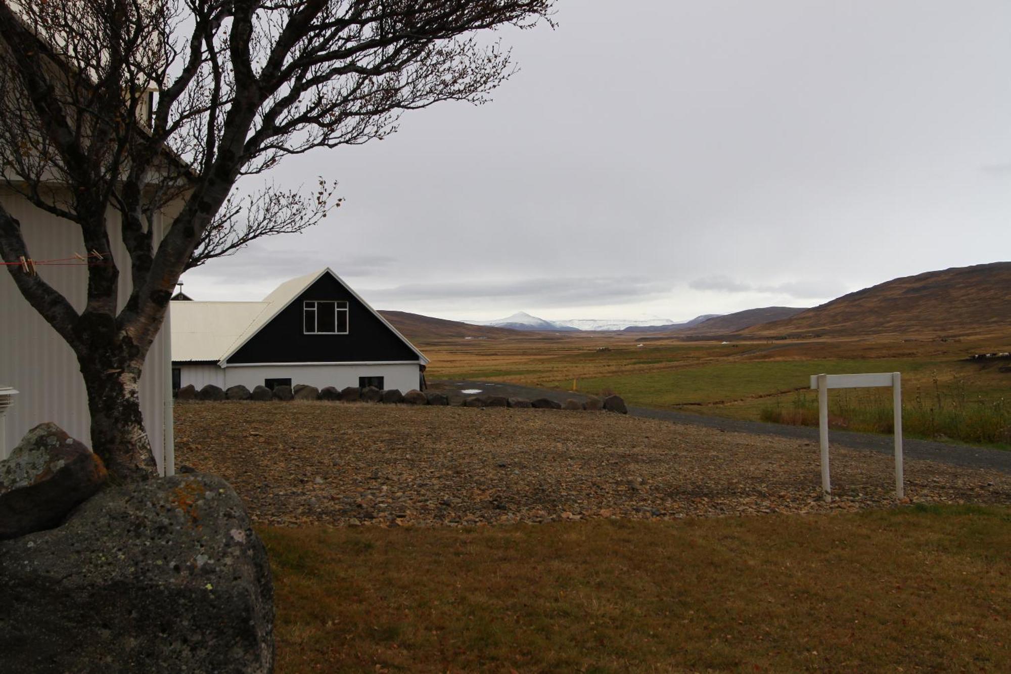 Guesthouse Steindorsstadir, West Iceland Рейкгольт Екстер'єр фото