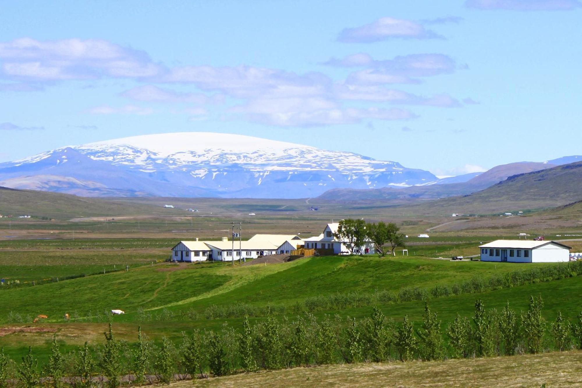 Guesthouse Steindorsstadir, West Iceland Рейкгольт Екстер'єр фото